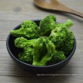 Fd Freeze Dried Vegetables Broccoli From China